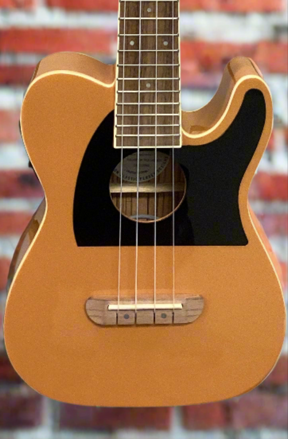 The Pied Piper Music Store